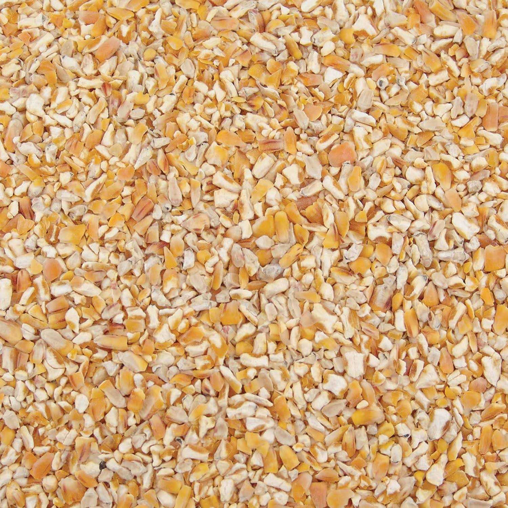 Corn O5181