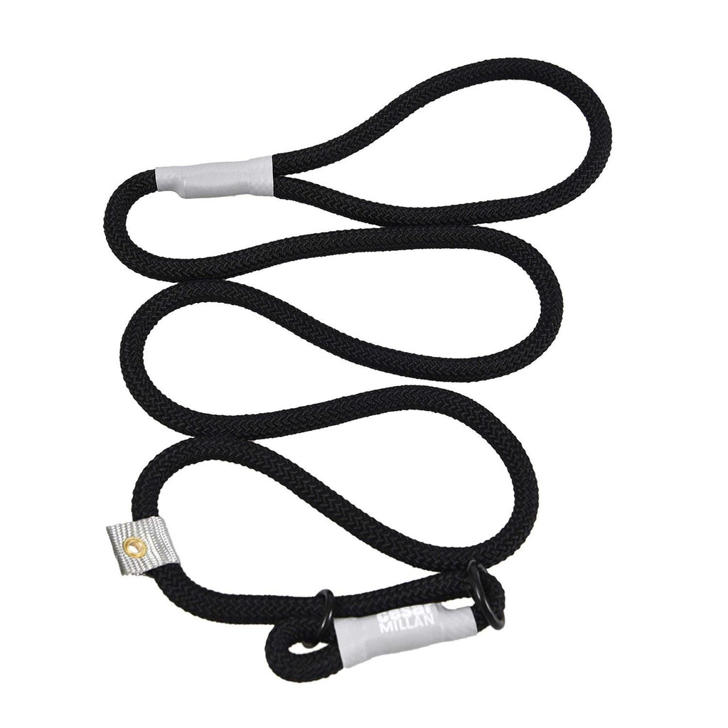 2-in-1 Slip Collar Dog Training Lead & Collar Z995450