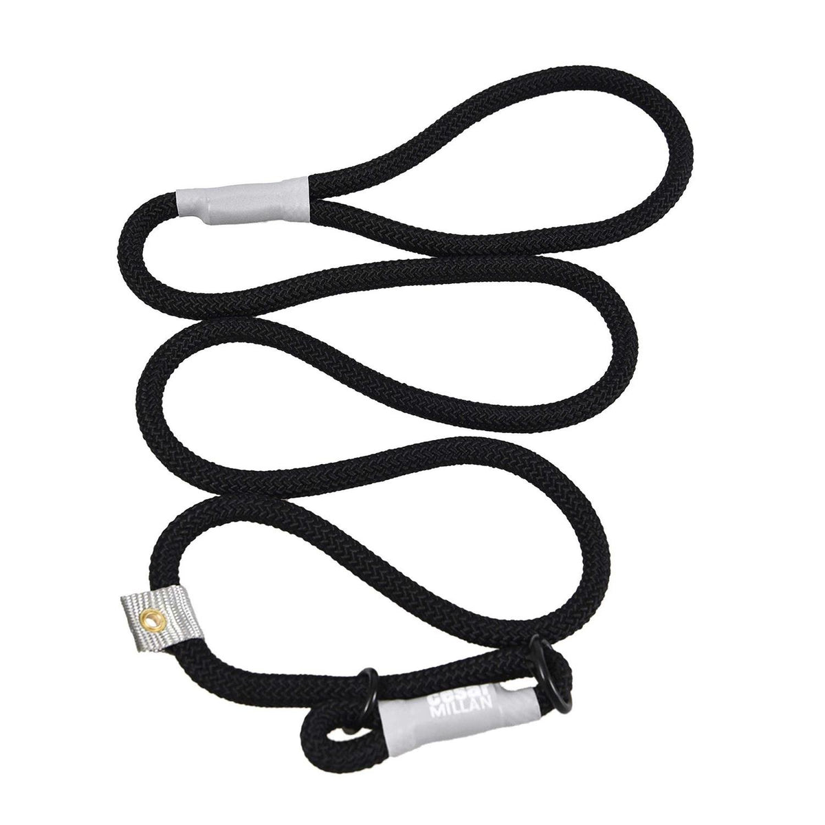 2-in-1 Slip Collar Dog Training Lead & Collar Z995450
