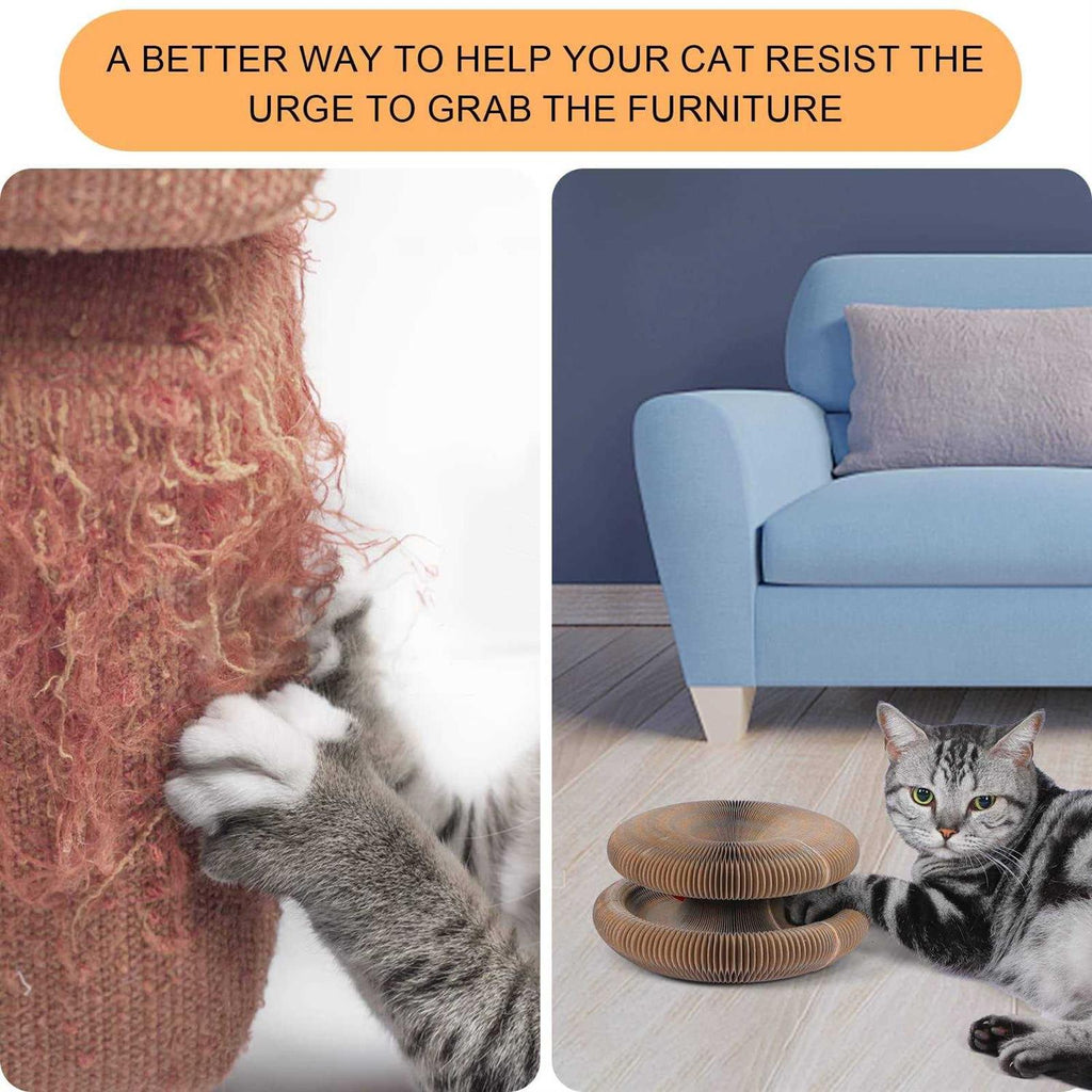 Magic Cats Scratching Board with Ball I472234