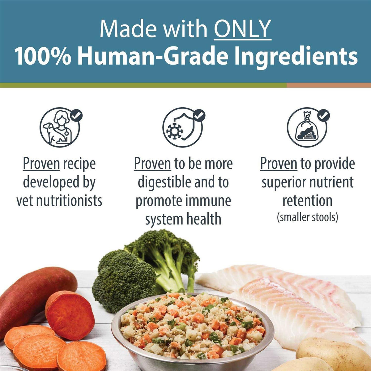 Frozen Fresh Dog Food H45138