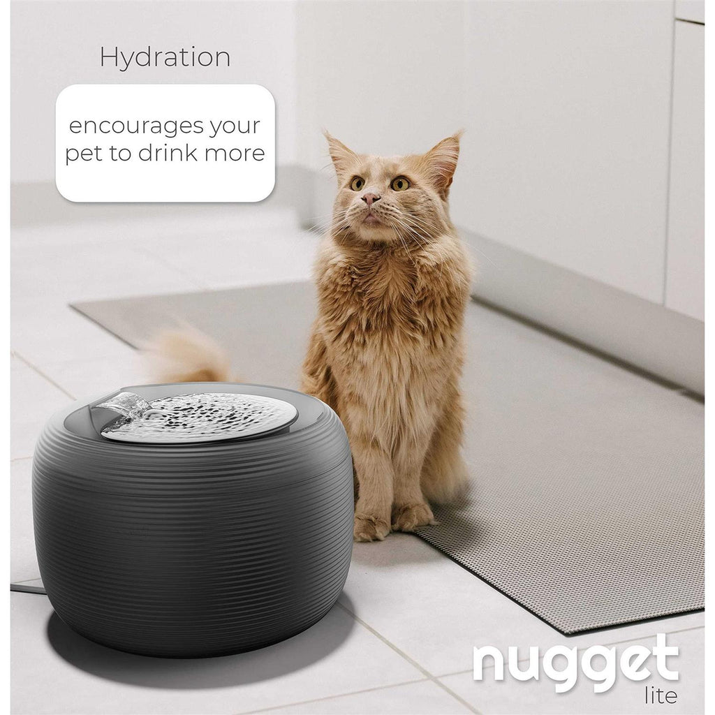 2.5 L Pet Water Fountain D6829