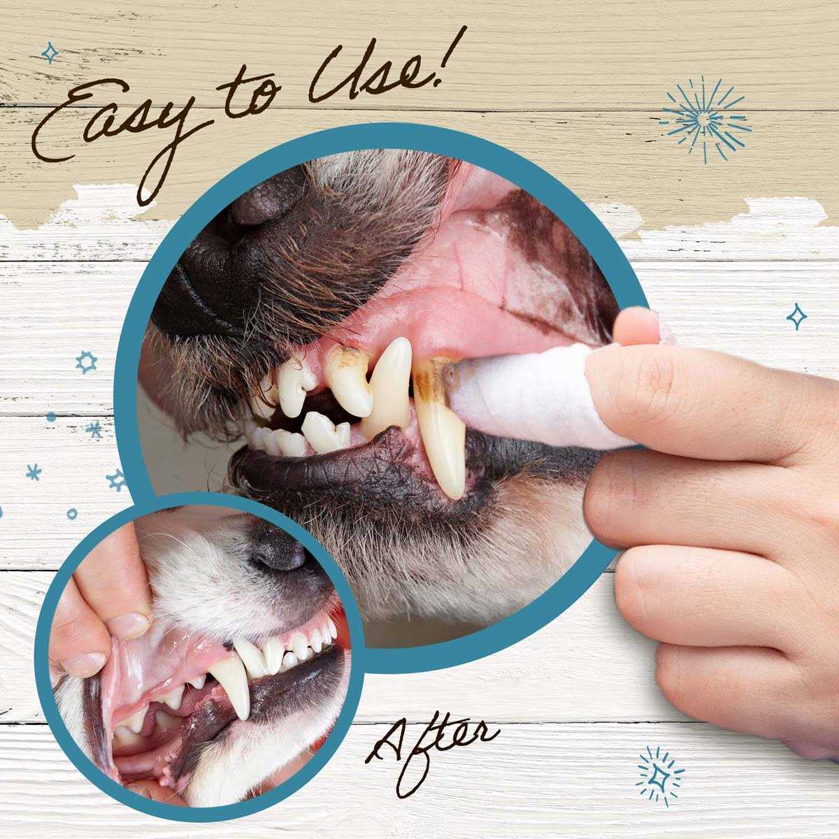 Dental Wipes for Dogs & Cats 50 Count B1646
