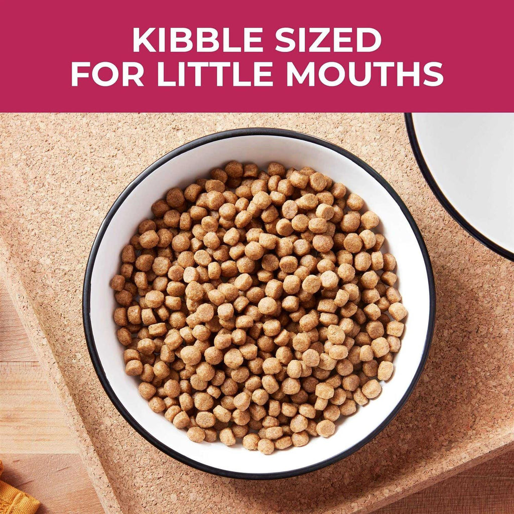 Small Bites Dry Dog Food W644253
