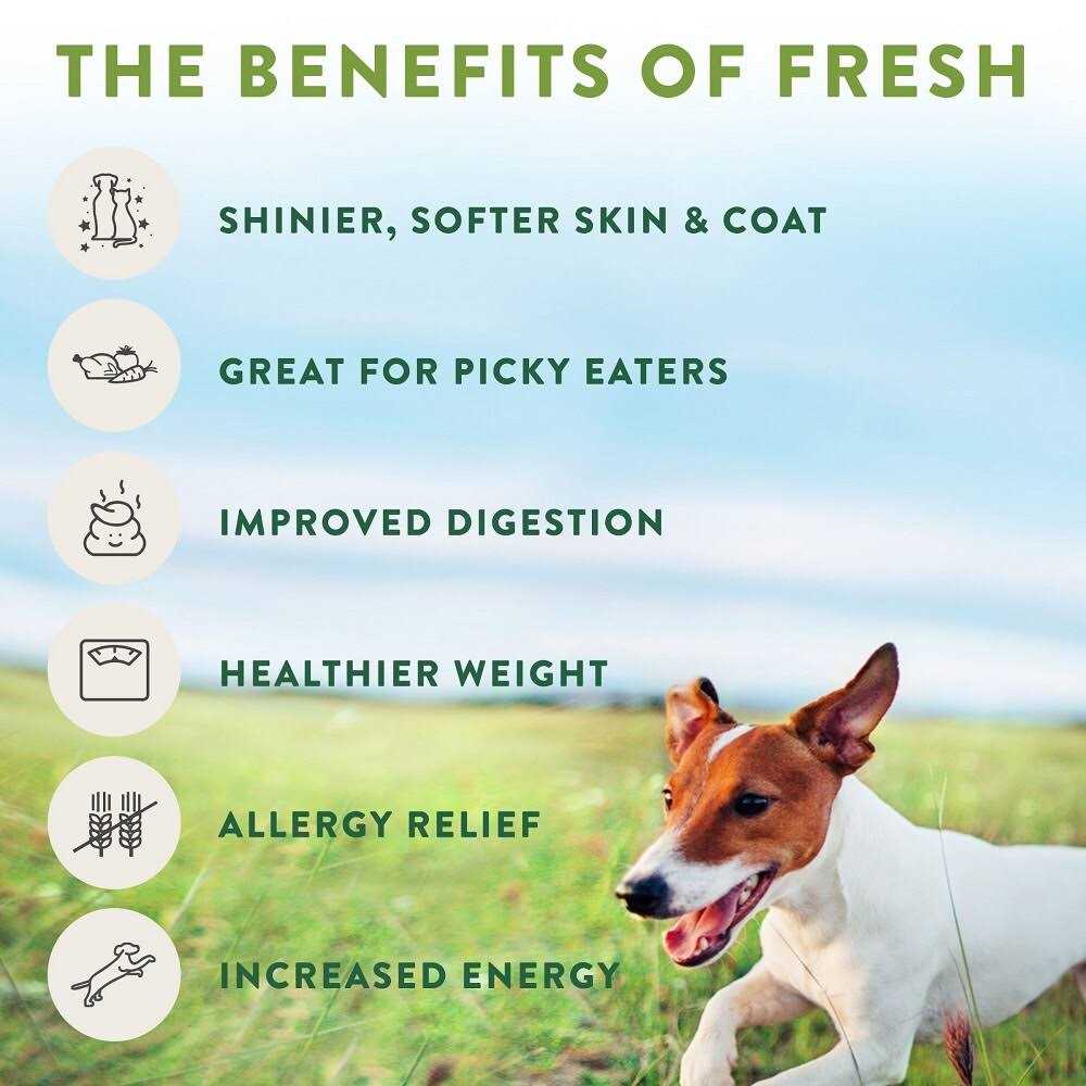 Grain Free Chicken Dog Food T321291