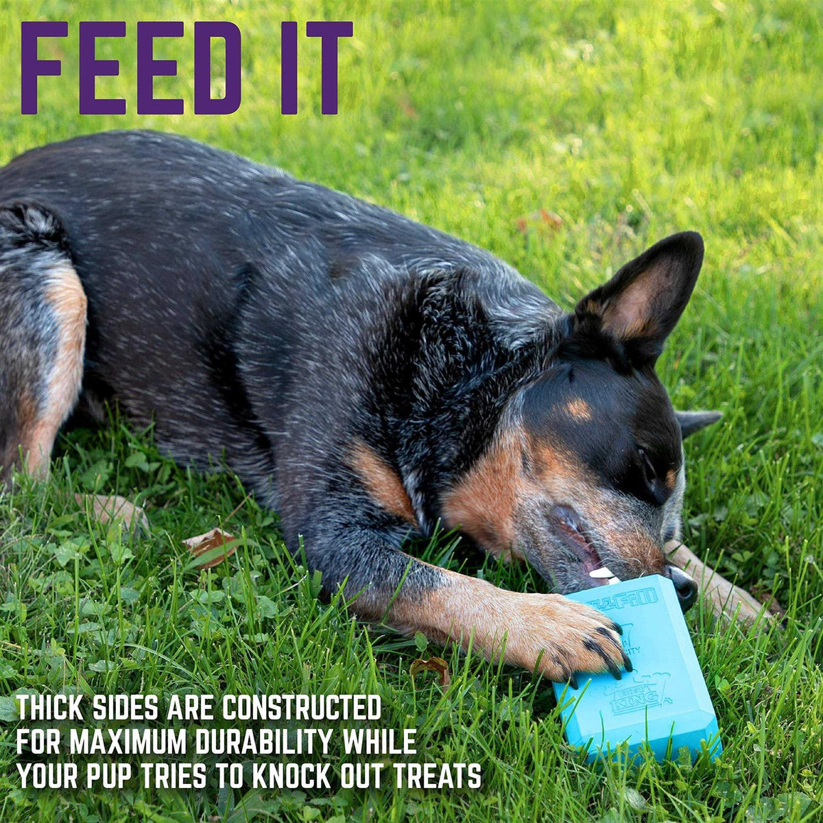 Dog Treat Toy R32315