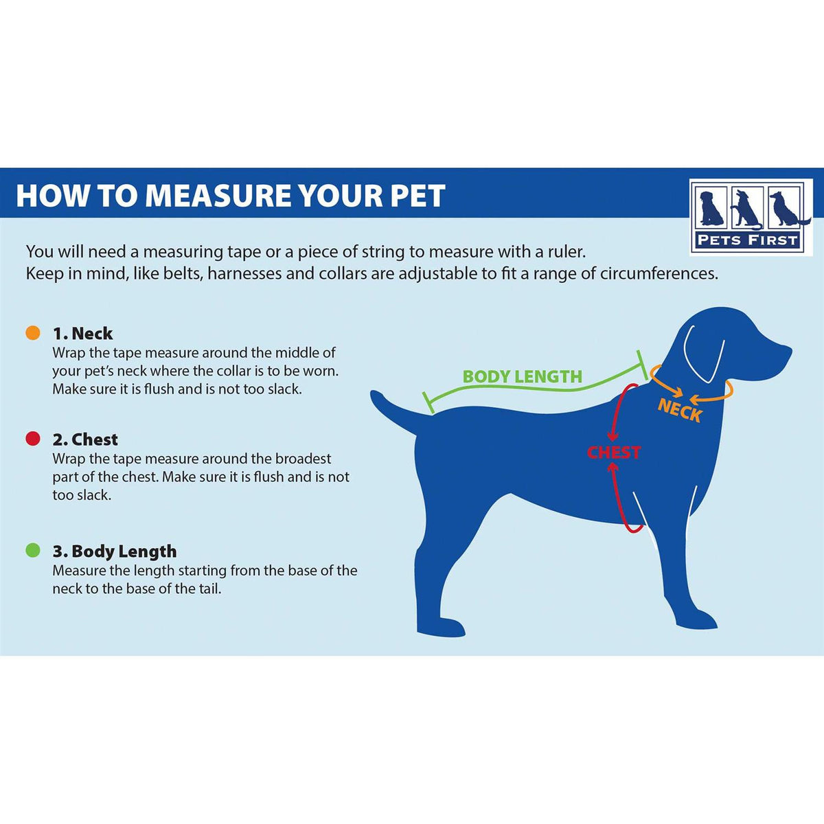 Pet Collar F339168