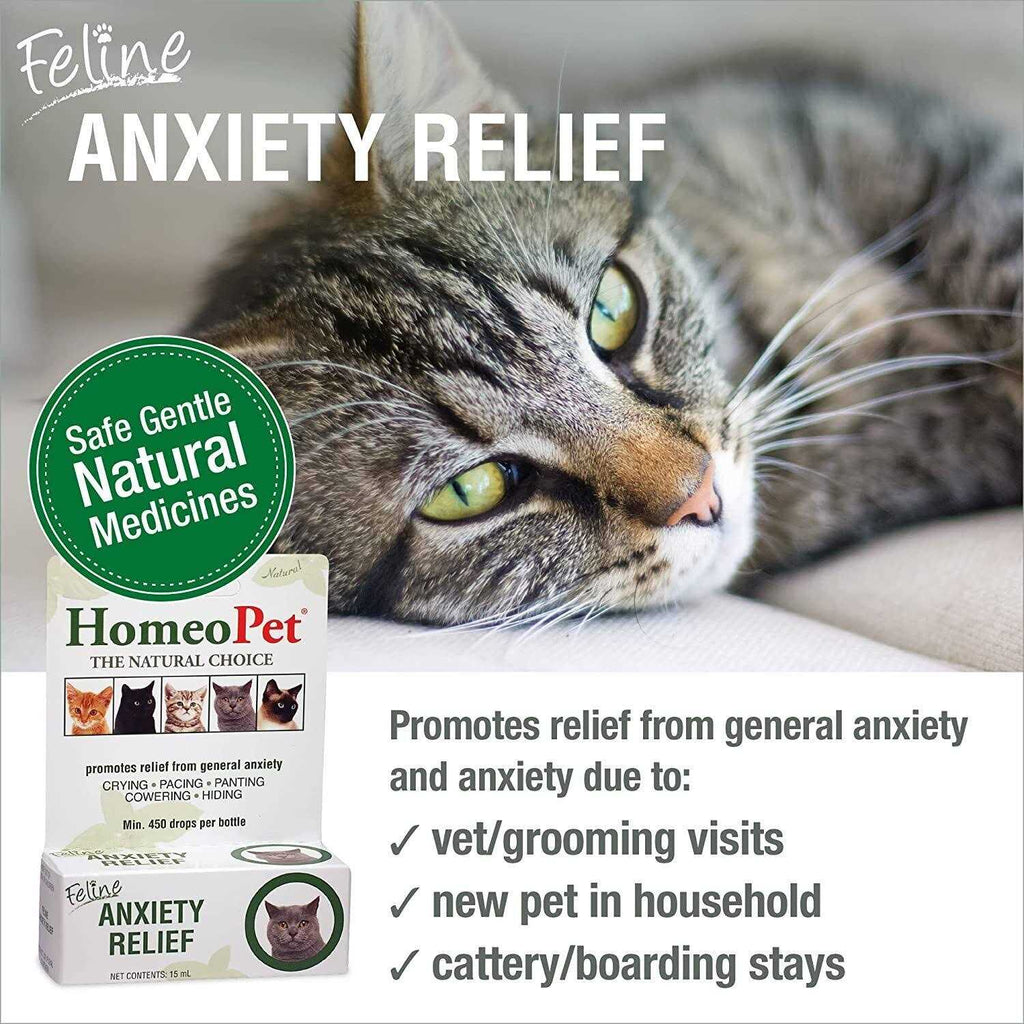 Feline Nose Relief P7272