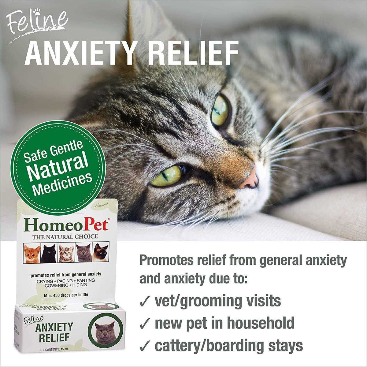 Feline Nose Relief P7272