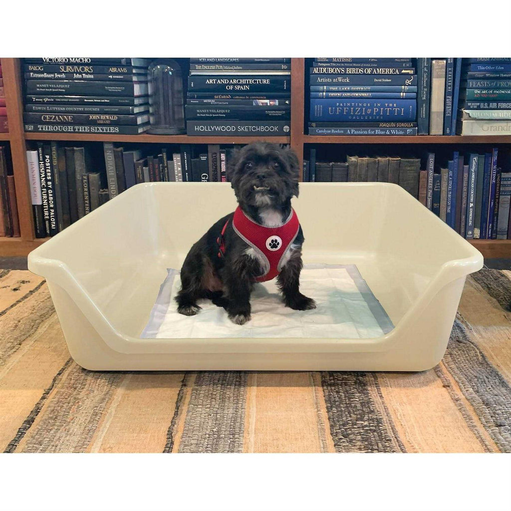 Indoor Dog Potty Tray I26851