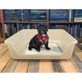 Indoor Dog Potty Tray I26851