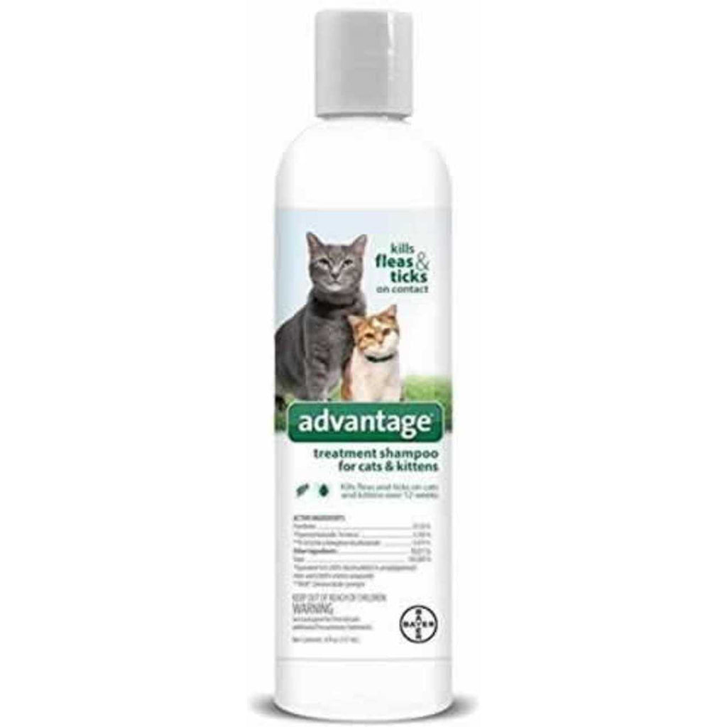Flea & Tick Treatment Shampoo for Cats & Kittens Y41671