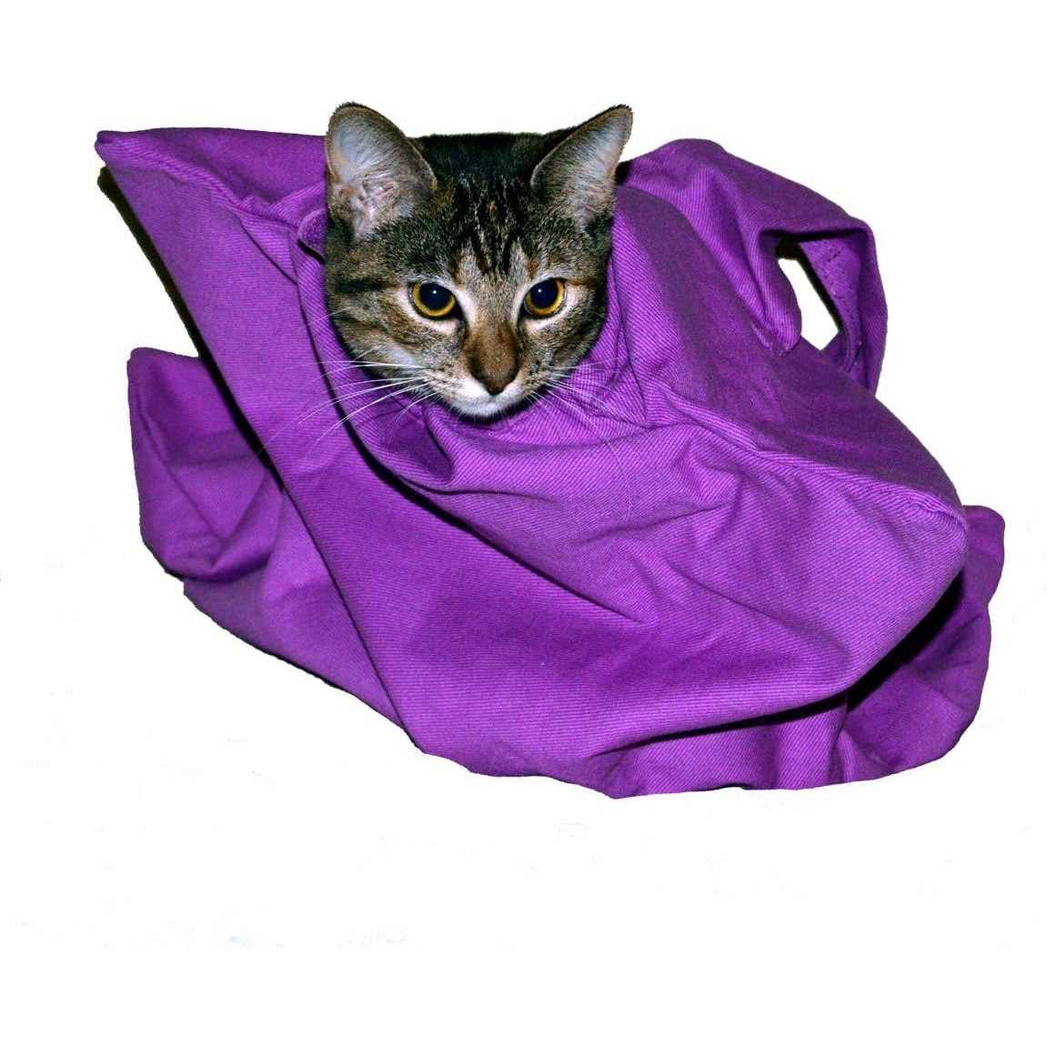 Cat Carrier L742
