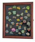 Pin Medal Display Case Shadow Box with Glass Door R947