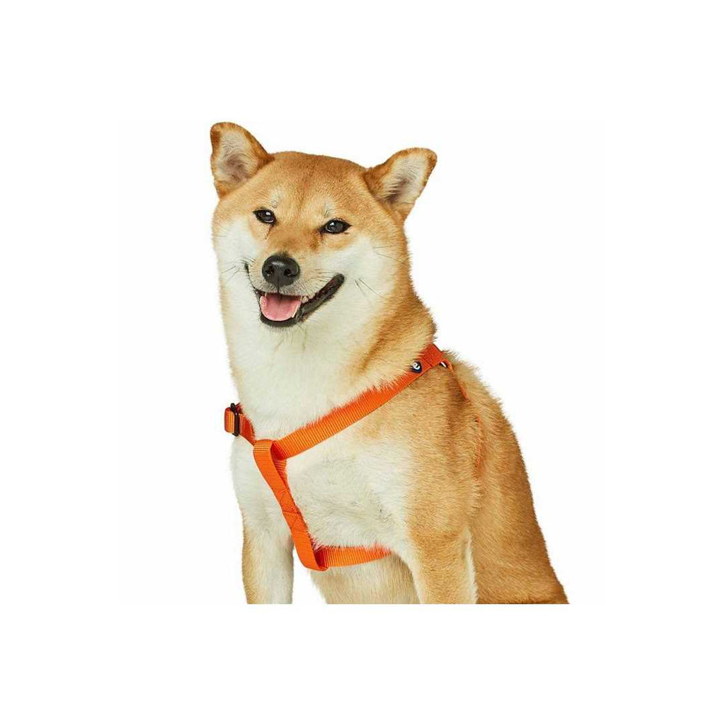 Classic Solid Nylon Step-In Dog Harness O27892