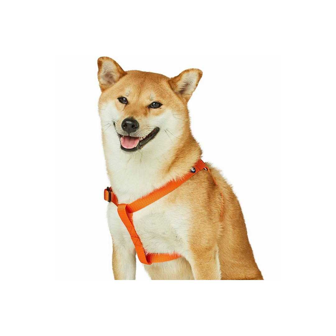 Classic Solid Nylon Step-In Dog Harness O27892