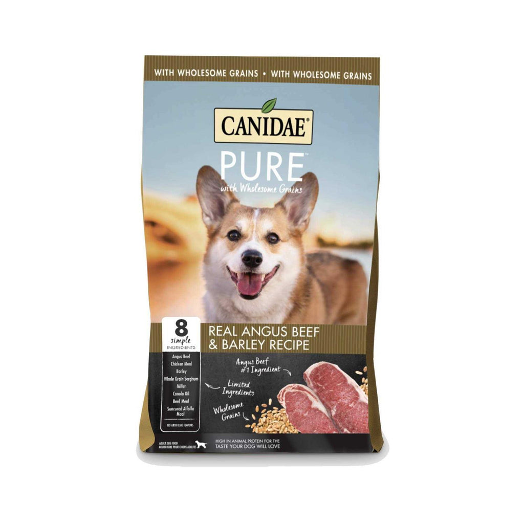 Beef & Barley Recipe Dry Dog Food S6184