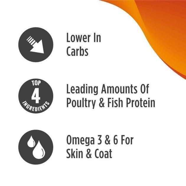 Grain-Free Turkey & Duck Recipe Dry Cat & Kitten Food O6974