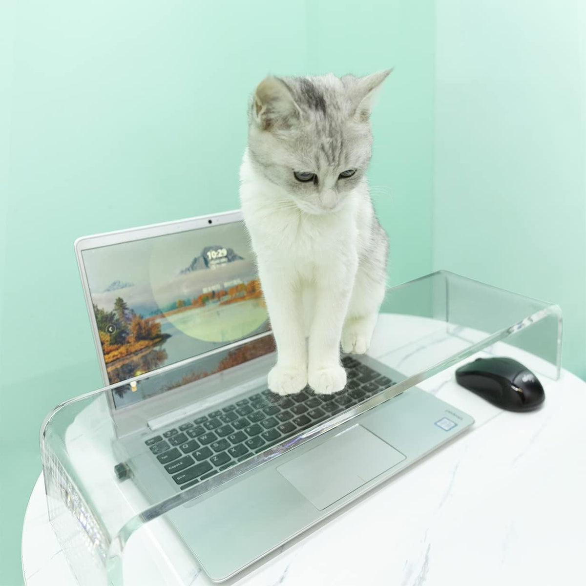 Clear Plexiglass Keyboard Protector O6626