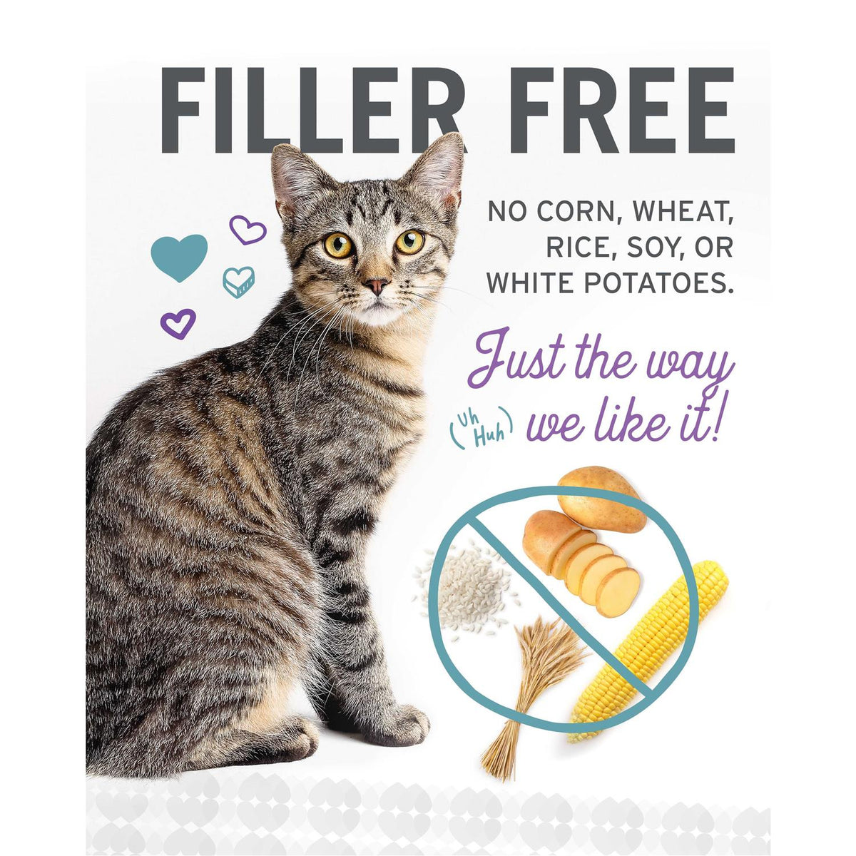 Wet Cat Food Variety Pack X317