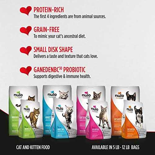 Grain-Free Turkey & Duck Recipe Dry Cat & Kitten Food O6974