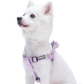 Classic Solid Nylon Step-In Dog Harness O27892