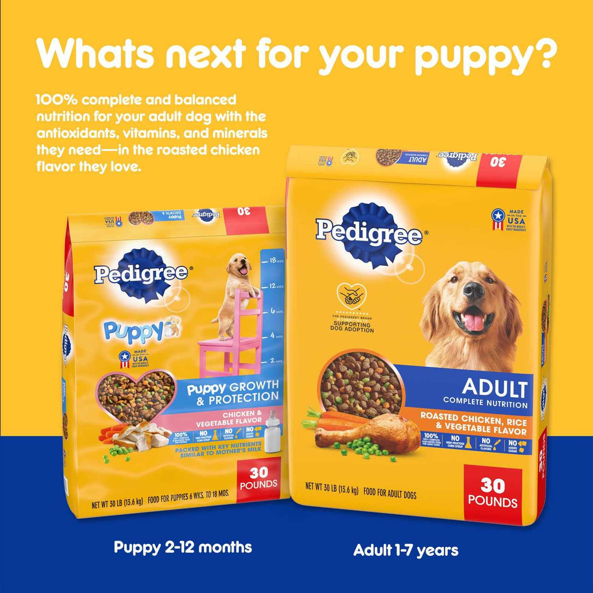 Chicken & Vegetable Flavor Dry Dog Food E451