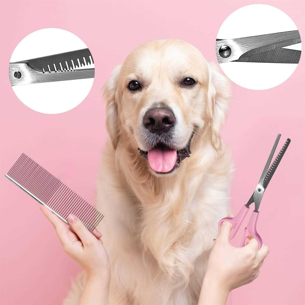 Dog Grooming Brush Shedding Kit C788329