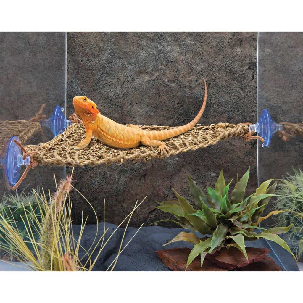 Lizard Lounger M5946