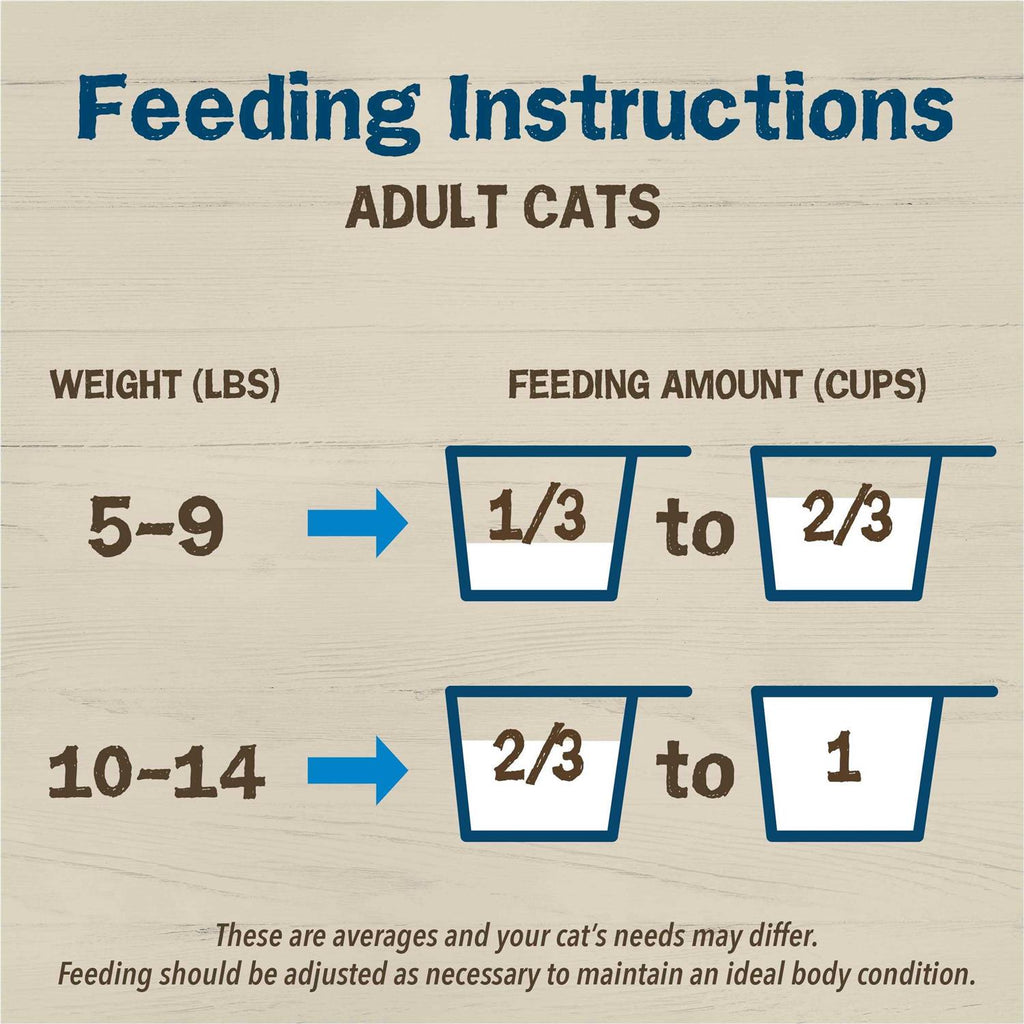 Dry Cat Food With Salmon R302699