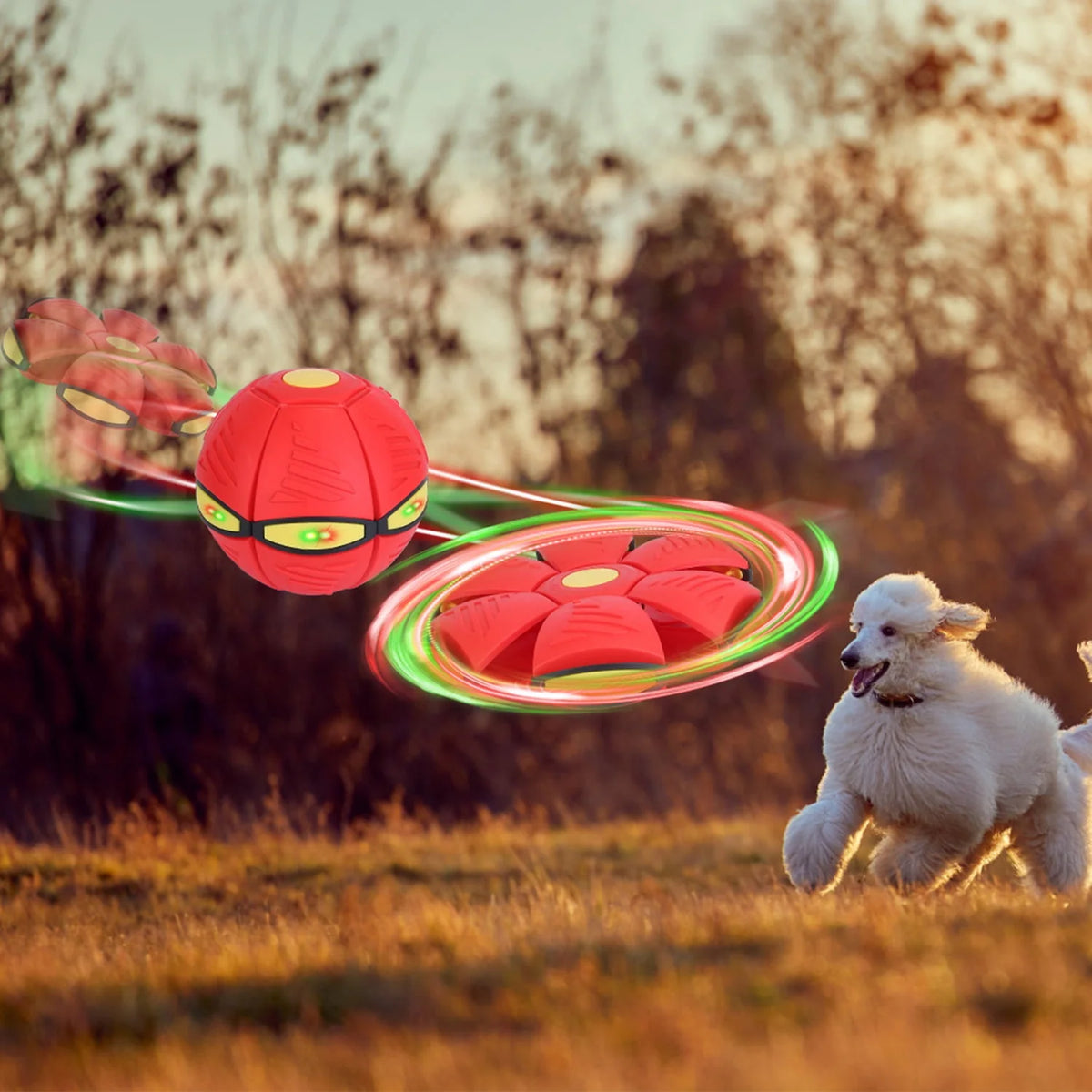 4 Pack LED Flying Saucer Ball Dog Toy Y7517