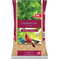 Corn O5181