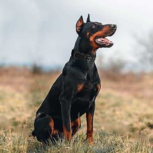 Nylon Adjustable Heavy Duty Tactical Dog Collar X15319