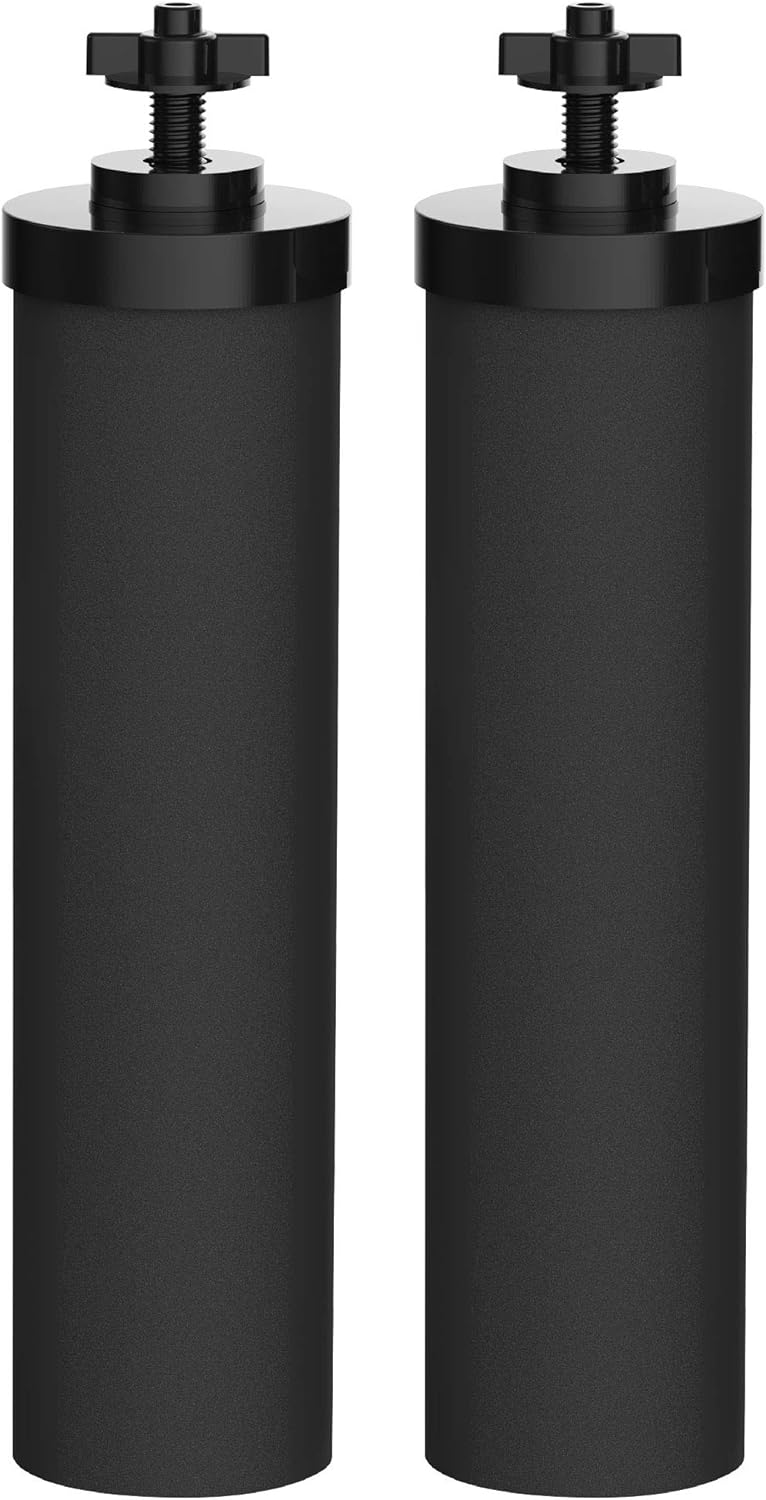 Water Filter Replacement Pack of 2 P8465