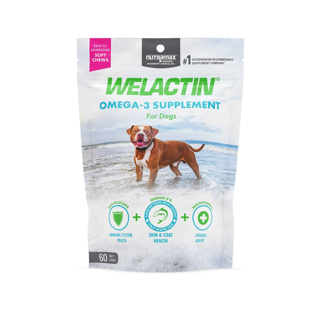 Omega-3 Supplement Soft Chews For Dogs L4818
