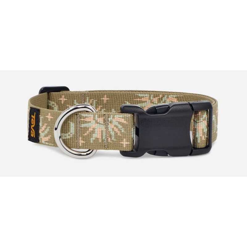 Multicolor Dog Collar B830