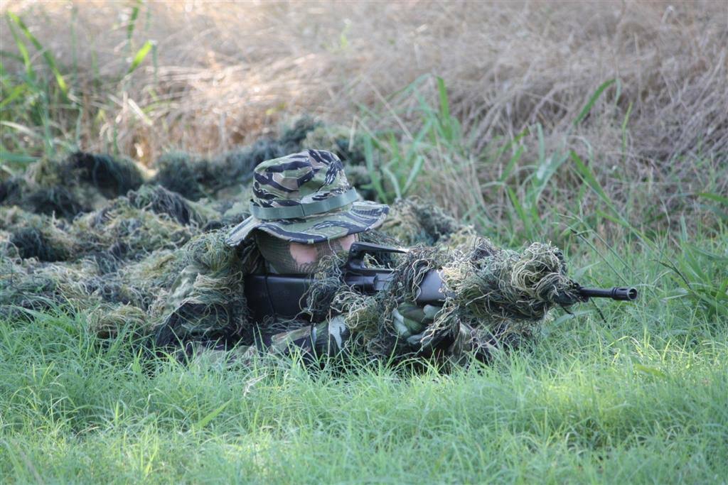 Woodland Camouflage Netting K3648
