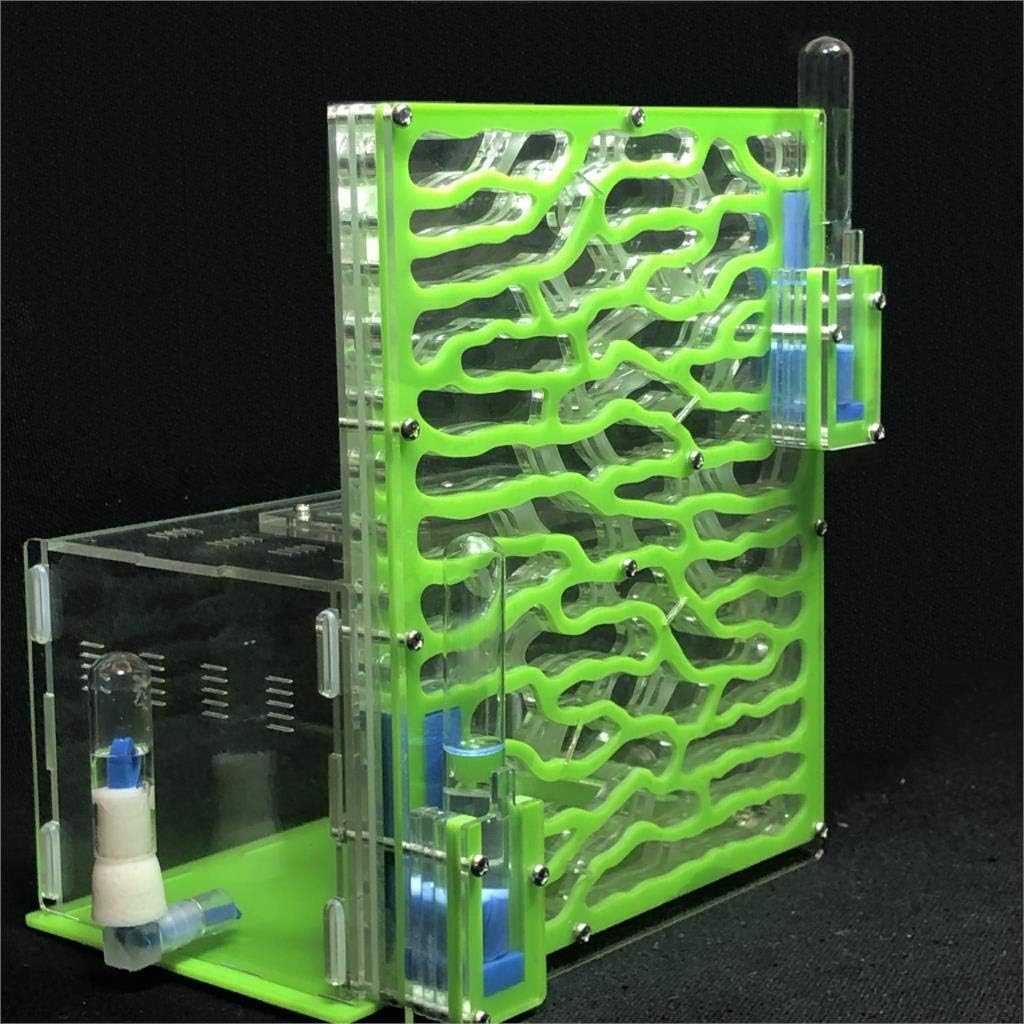 Large Viewing Area Ant Habitat (White) K35250