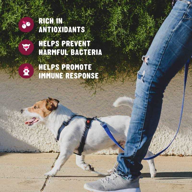 Cranberry Supplement for Dogs L61324