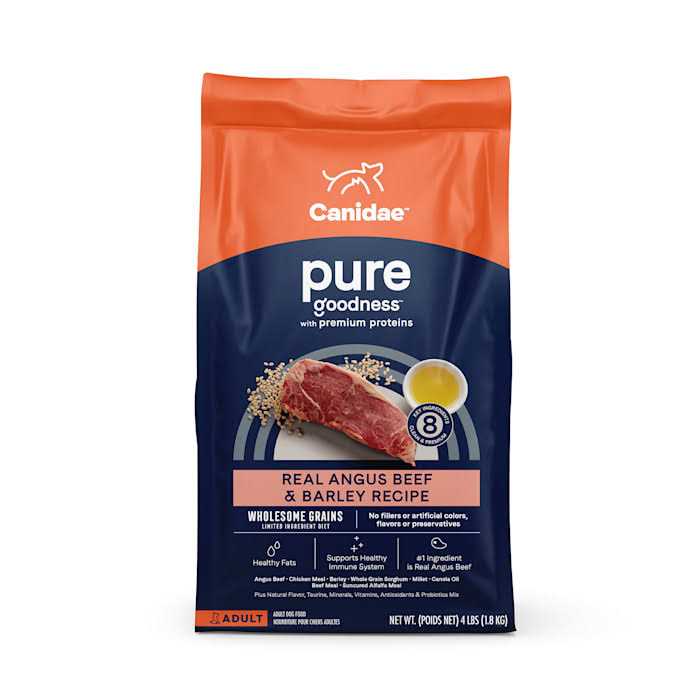 Beef & Barley Recipe Dry Dog Food S6184