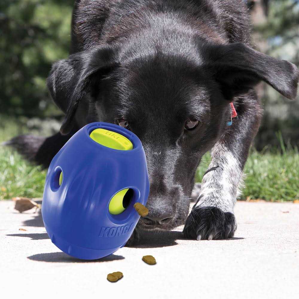 Dog Toy A911118