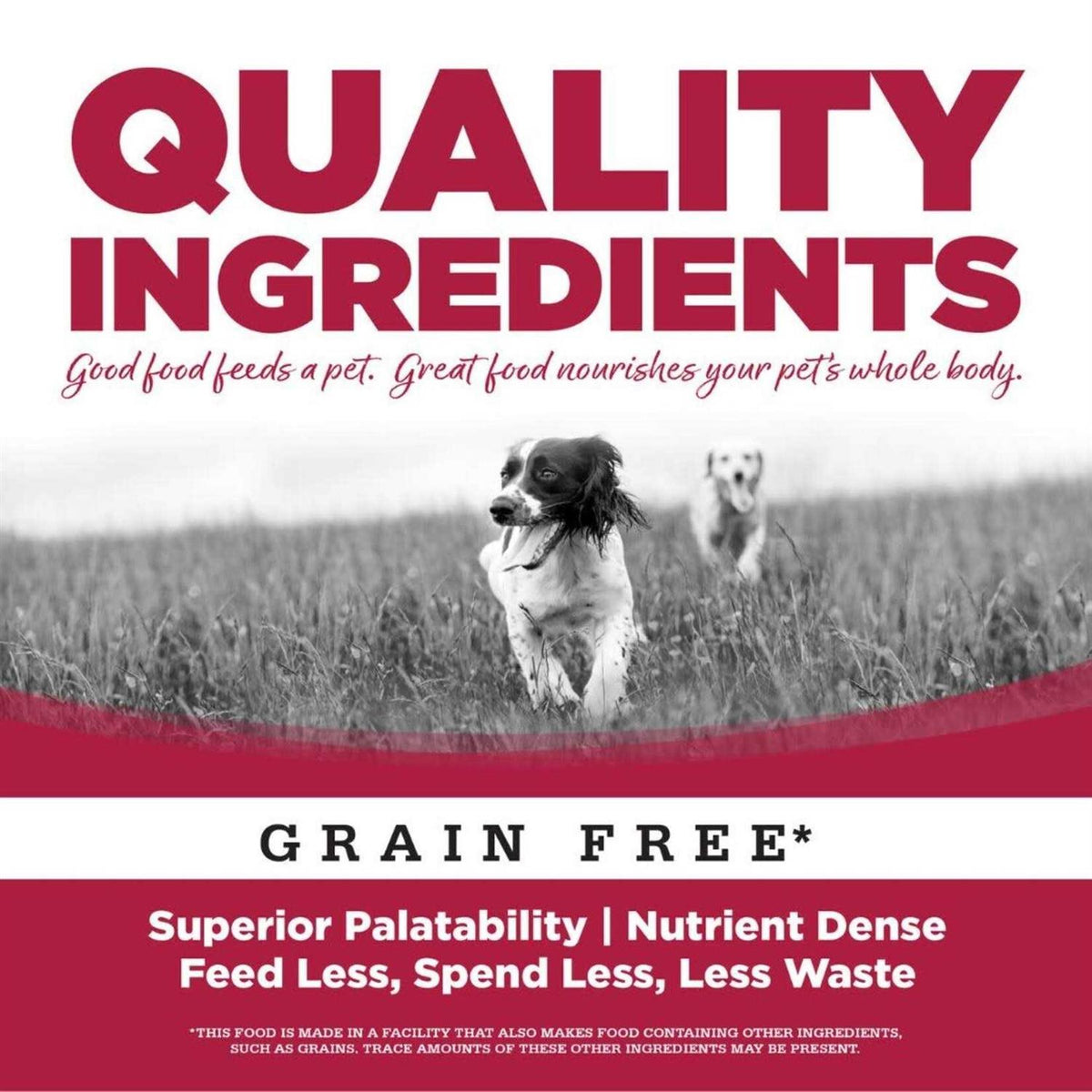 Grain-Free Seafood Dry Dog Food Z147