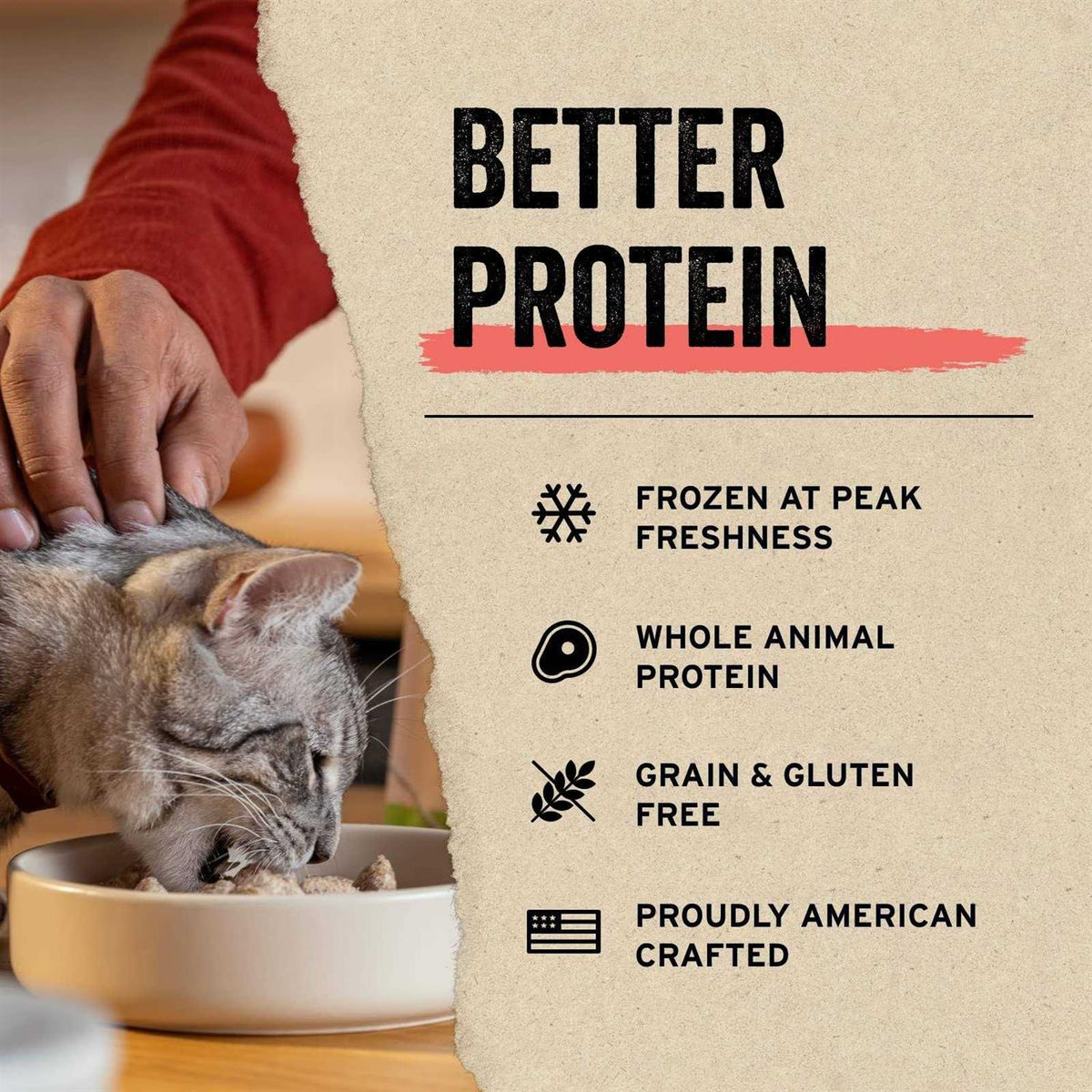 Freeze-Dried Duck Liver Cat Treats Y699