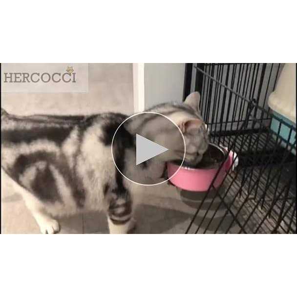 Stainless Steel Dog Crate Bowl D962690