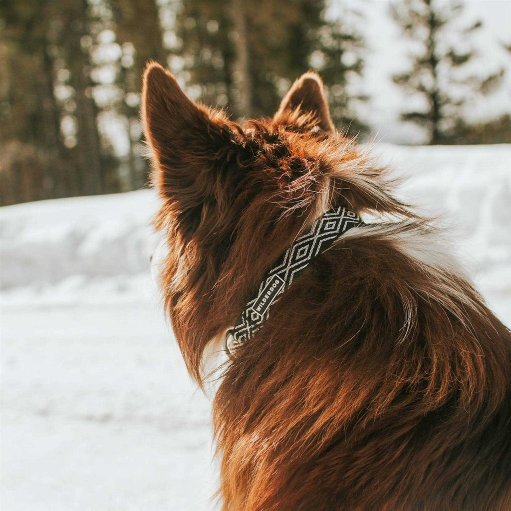 Ultralight Collar W646794