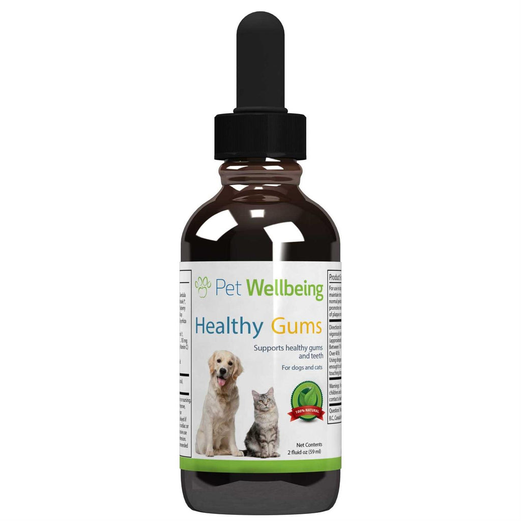 Healthy Gums for Feline Periodontal Health B2764
