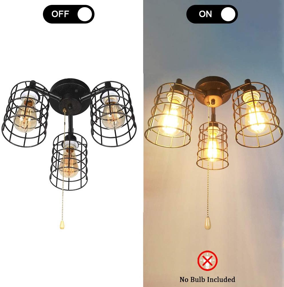 Black Metal Pull Chain Ceiling Light Fixture T4281