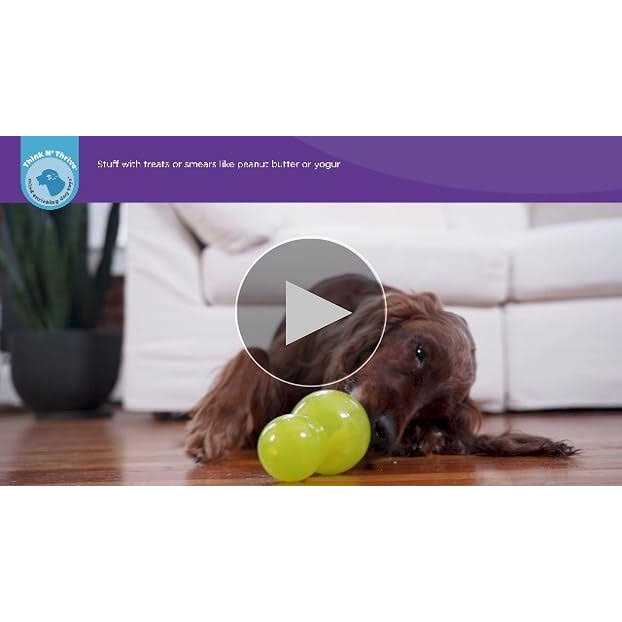 Green Dog Toy F932