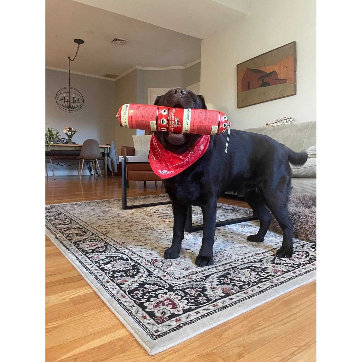 Dog Food Roll Beef K25520