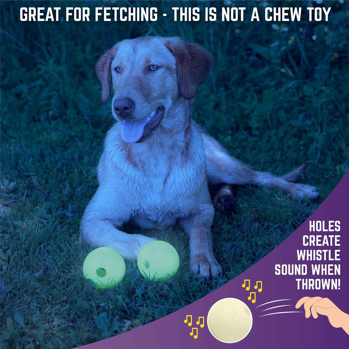 Glow Ball Dog Toys G669141